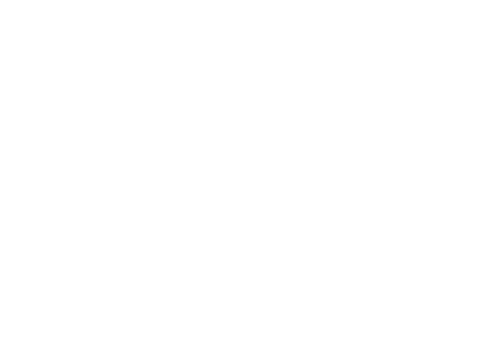 walid N Mohammed
