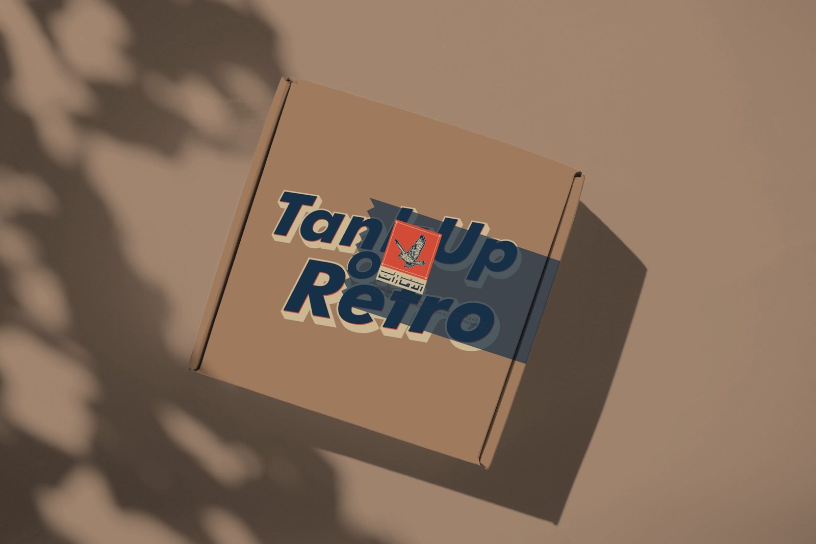 Package Box Mockup